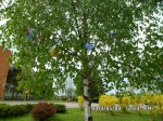 SAM_0697