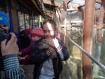 DSC00339